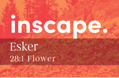 community photo of inscape Esker 28:1 Flower 10g